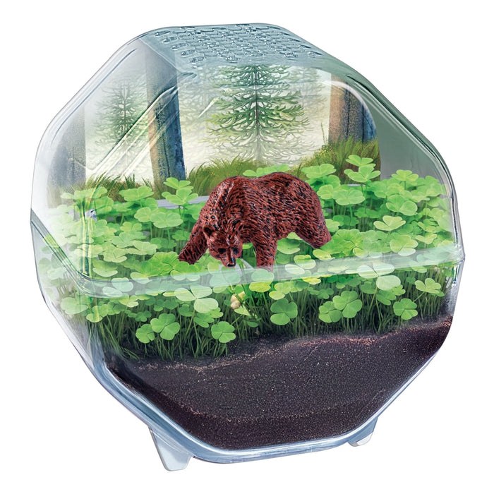 Mini Terrarium Ours - Clementoni