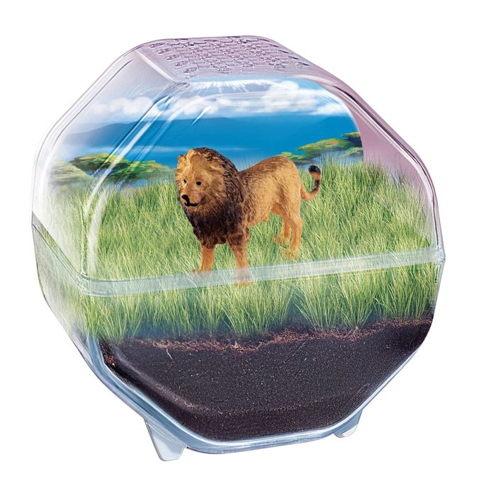 Mini Terrarium Lion - Clementoni