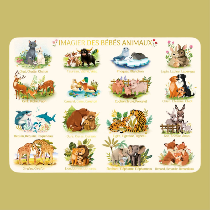 SET DE TABLE LES BÉBÉS ANIMAUX - Cartesdart